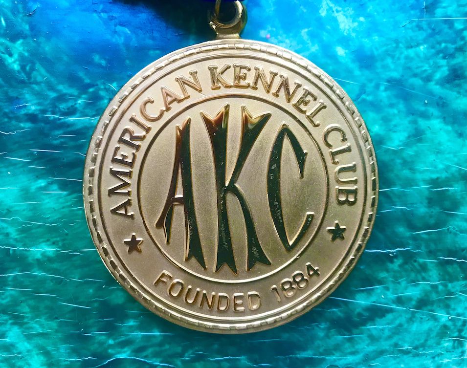 Editorial: November 6, 2020